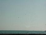 CNE-Airshow-119-Snowbirds-20020901.jpg