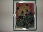 Needlepoint-Panda-04-20020206.jpg