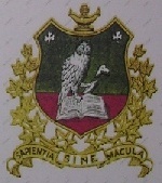 We're loyal to you ole St. Pat's :)