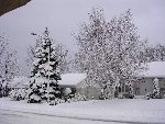 20031201-04-WinterWonderland.jpg