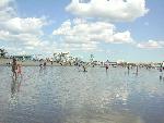 Beach-11-oob-200108124.jpg