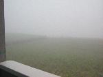 Fog-01-oob-20010820.jpg