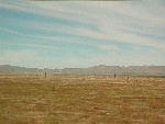 20031028-17-BetweenSanderson&Alpine-Texas.jpg