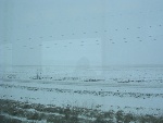 20031104-02-ThePrairies-Manitoba.jpg